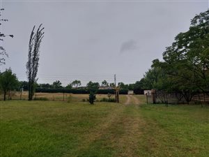 5000 m² Smallholding in Blue Hills