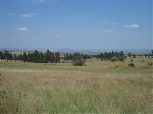12.1 ha Land available in Doornrandje