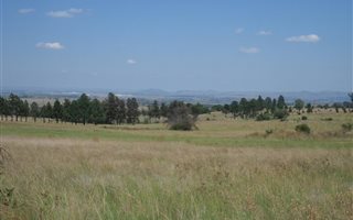 12.1 ha Land available in Doornrandje
