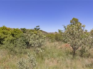 1 ha Land available in Ruimsig