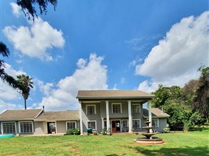42 ha Farm in Marister
