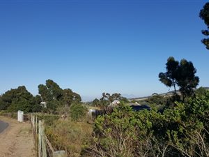 Farm in High Riding Country Estate