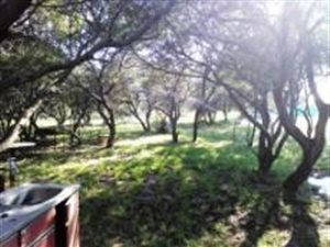 8.8 ha Farm in Bultfontein