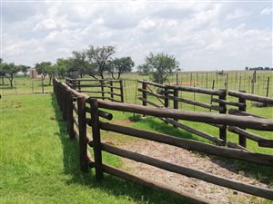 177.5 ha Farm in Brandfort