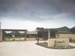 1 ha Land available in White River