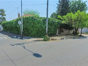 3 Bed House in Orange Grove