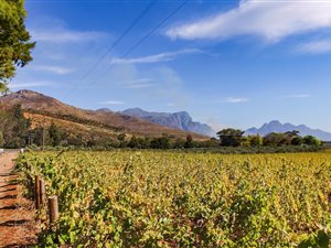 9.9 ha Farm in Franschhoek