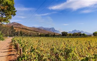9.9 ha Farm in Franschhoek