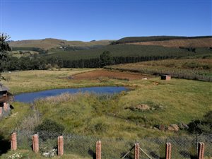 41 ha Farm in Richmond