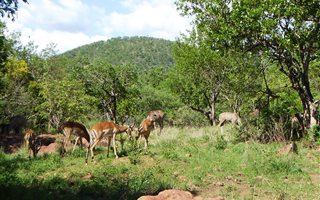 2091 m² Land available in Kranspoort