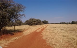 967 ha Farm in Christiana