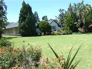 3 Bed House in Lombardy East