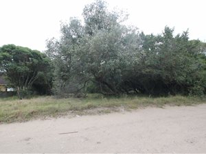 1784 m² Land available in East Bank