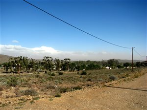 1285 m² Land available in Willowmore