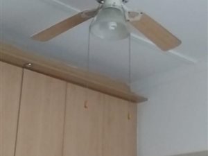 3 Bed House in Hyde Park