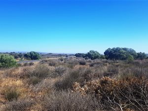 2.1 ha Land available in Long Acres