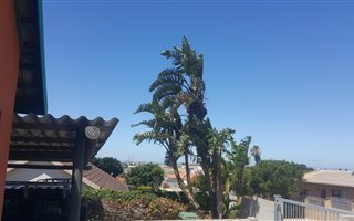 1 Bedroom House in Saldanha