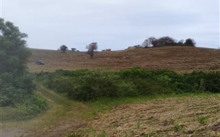 18 ha Farm in Blythedale Beach