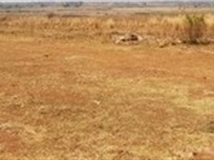 428 m² Land available in Villa Liza