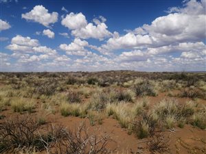 5139 ha Farm in Williston