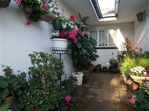 3 Bed House in Vanderbijlpark CE5