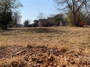 1008 m² Land available in Wigwam