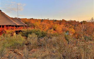 Commercial space in Welgevonden Game Reserve