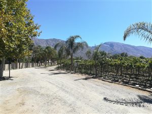 8 ha Farm in De Doorns
