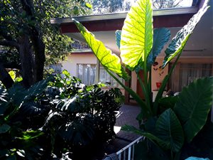 4 Bed House in Wonderboom South
