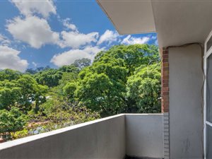 3 Bed Apartment in Orange Grove