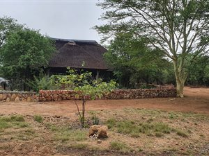 21.4 ha Farm in Phalaborwa