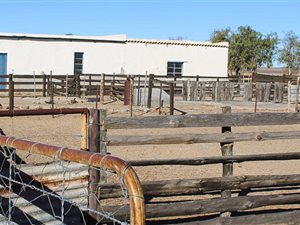 1680 ha Farm in Brandvlei