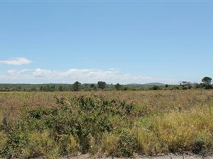 2000 m² Land available in Bathurst and Surrounds