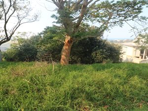 792 m² Land available in Princes Grant Golf Estate