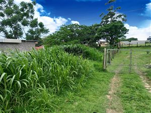 1015 m² Land available in Rocky Park