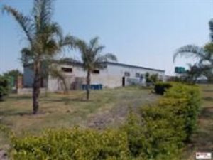 8.5 ha Farm in Bultfontein