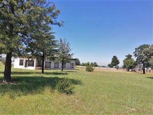 4 ha Farm in Walkerville