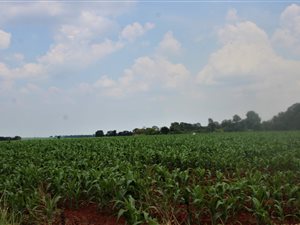 372.6 ha Farm in Bronkhorstspruit
