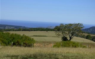 275 ha Farm in Knysna Central