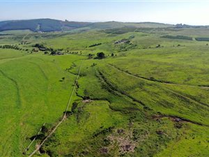 5.6 ha Farm in Hilton