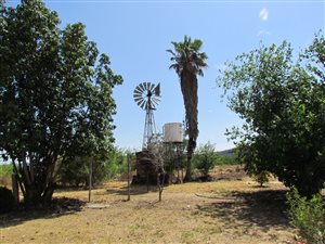 81 ha Farm in Groot Marico