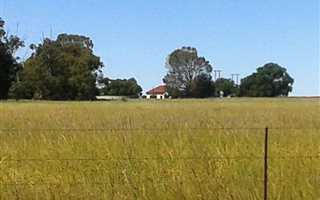 550 ha in Petrusburg
