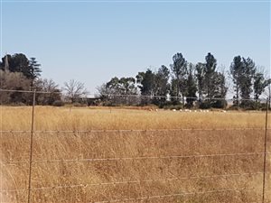 41 ha Land available in Reddersburg