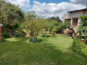 1 ha Farm in Kameelfontein and surrounds