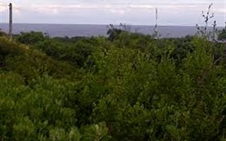 1287 m² Land available in Seaview