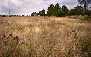 2 ha Farm in Beaulieu