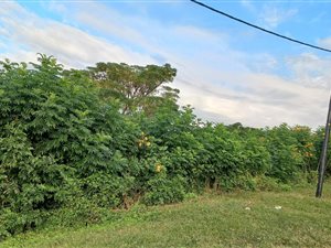 1189 m² Land available in Pinetown Central