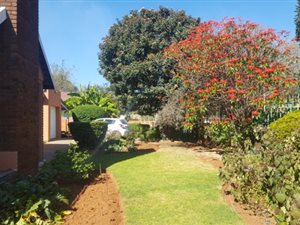 3 Bed House in Birch Acres