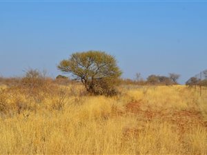 711 ha Farm in Mokopane
