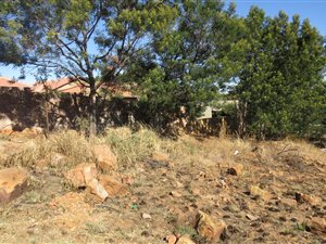 991 m² Land available in Ohenimuri